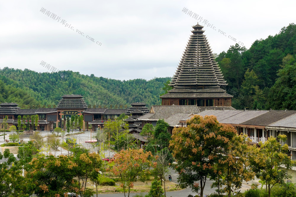 秋 花 侗寨 鼓楼 建筑