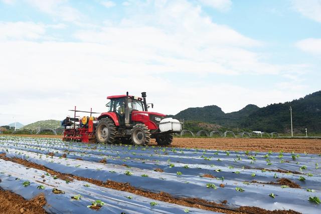  机械化助力蔬菜种植
