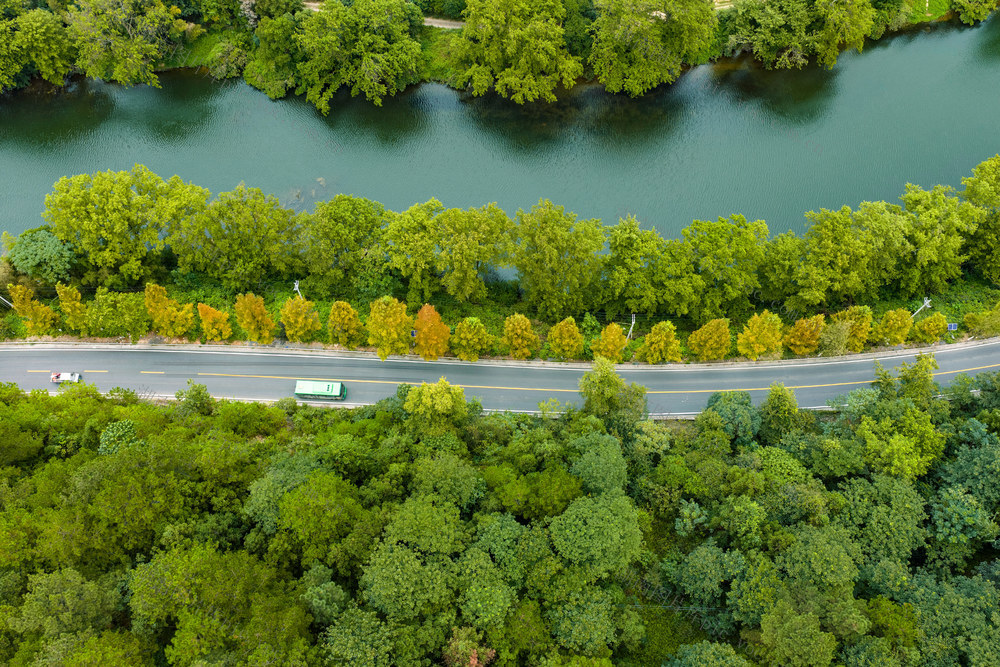 秋 秋天 路 公交车 山水