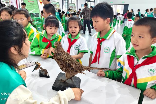 湘西 科普 土家族  苗族  地衣 志愿者 课堂  展览 游园 大学  小学  绽放 种子 团队