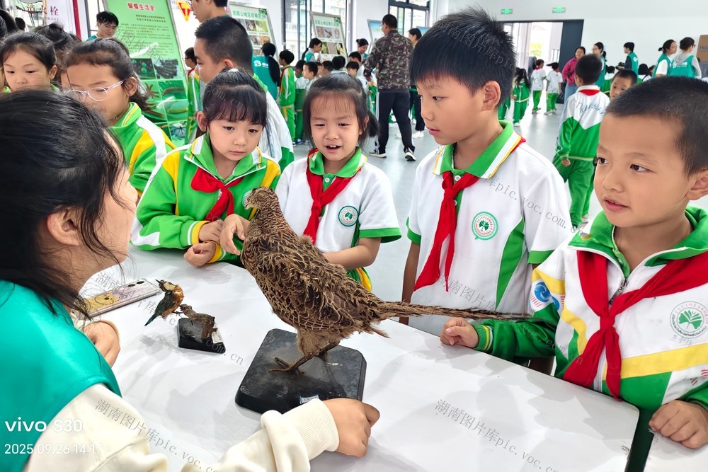 湘西 科普 土家族  苗族  地衣 志愿者 课堂  展览 游园 大学  小学  绽放 种子 团队