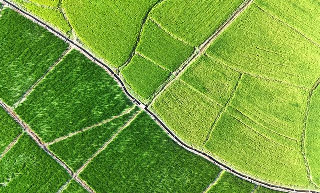 色彩斑斓秋色美