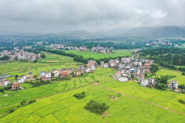 田园 稻田 乡村 秋天 风景 生态