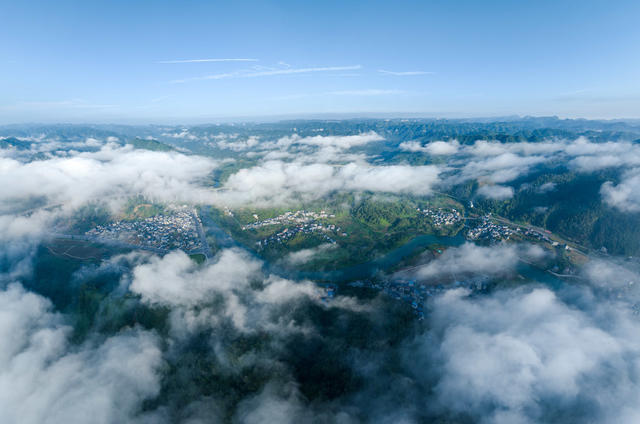 峒河 晨雾 生态 湿地