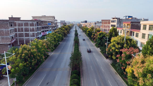 宁远 栾树 花 色彩