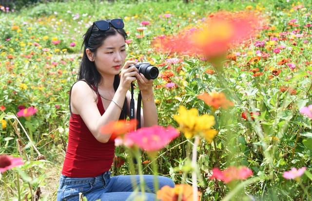 农文旅融合助乡村振兴