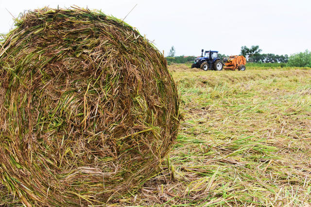 稻草离田  农机服务  跨省作业  灭茬  搂草  打捆