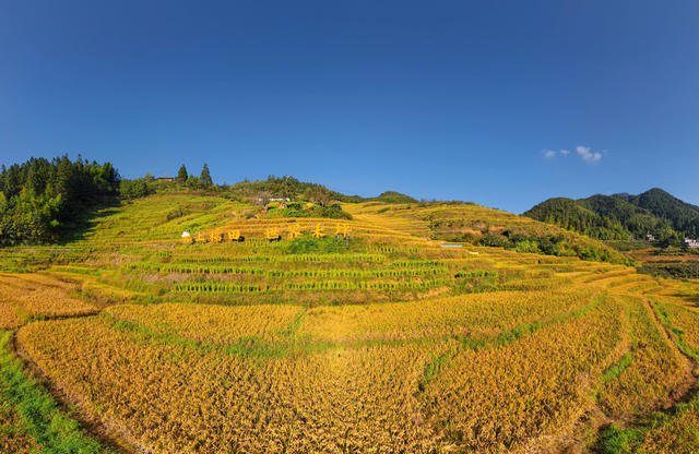 湖南桂东 云上梯田 新颜  桂东禾坪