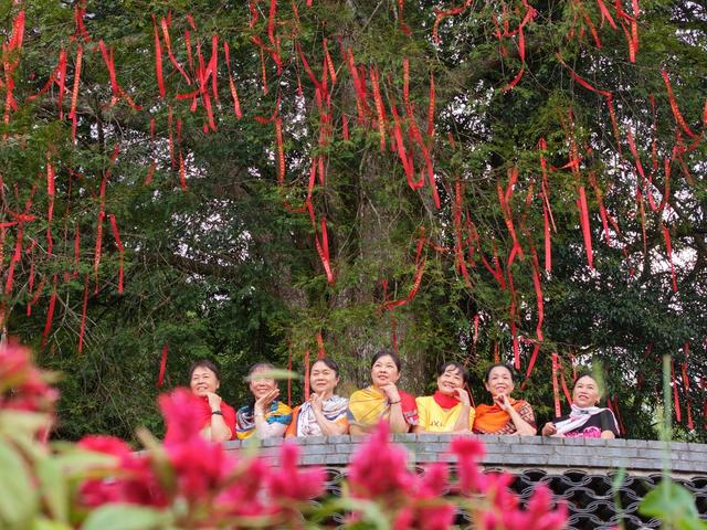 湖南桂东 1506岁  国家一级南方红豆杉 游客