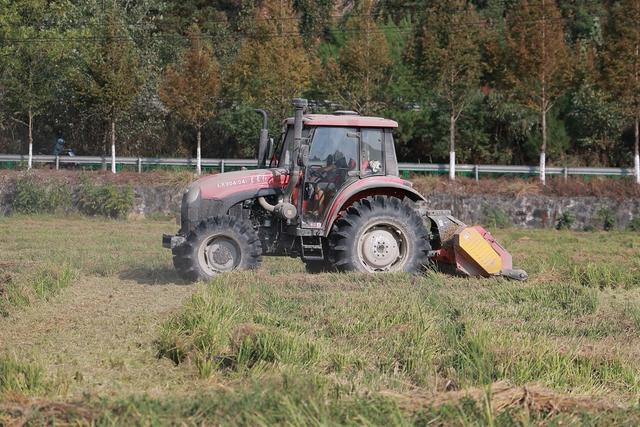 农业、农田、秸秆利用、耕地、绿色农业