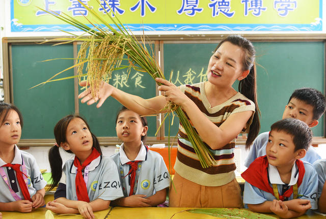 嘉禾: 珍惜粮食 从我做起