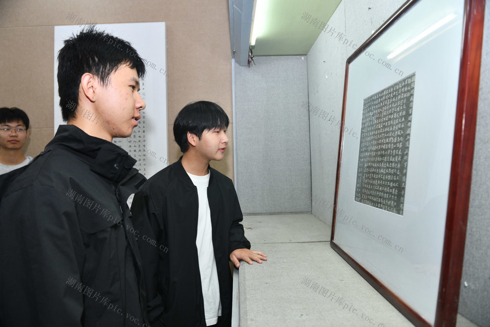 娄底 书法 展览 艺术