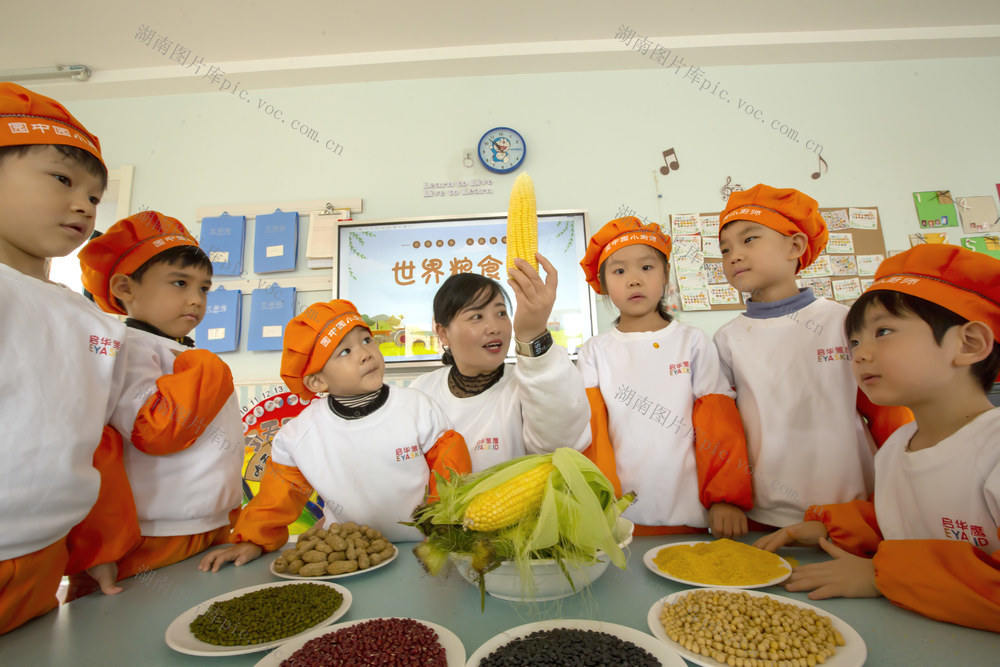 世界粮食日 爱惜粮食 节约粮食 小朋友 幼儿园 玉米棒 花生 大豆 小米 