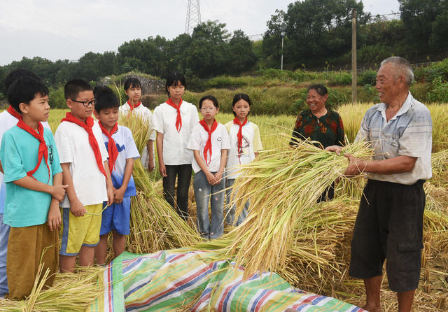 嘉禾：田间课堂学惜粮