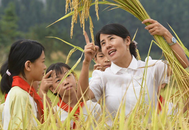 嘉禾：节约粮食  从我做起