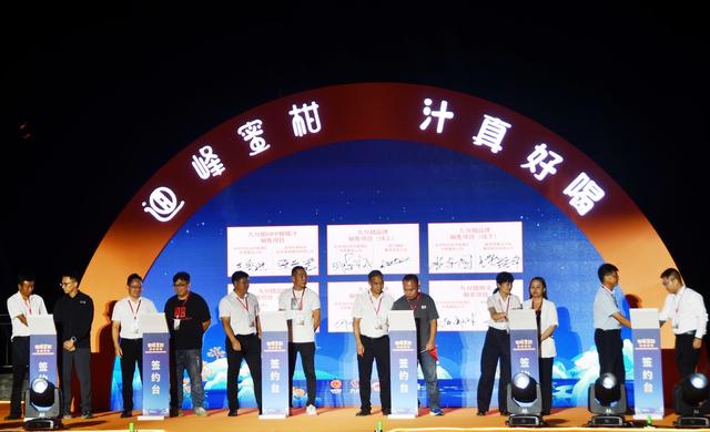 柑橘文化采摘季  助力农产品销售