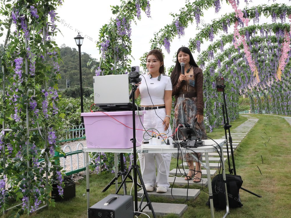 　畅游醉美田园     感受乡村魅力 