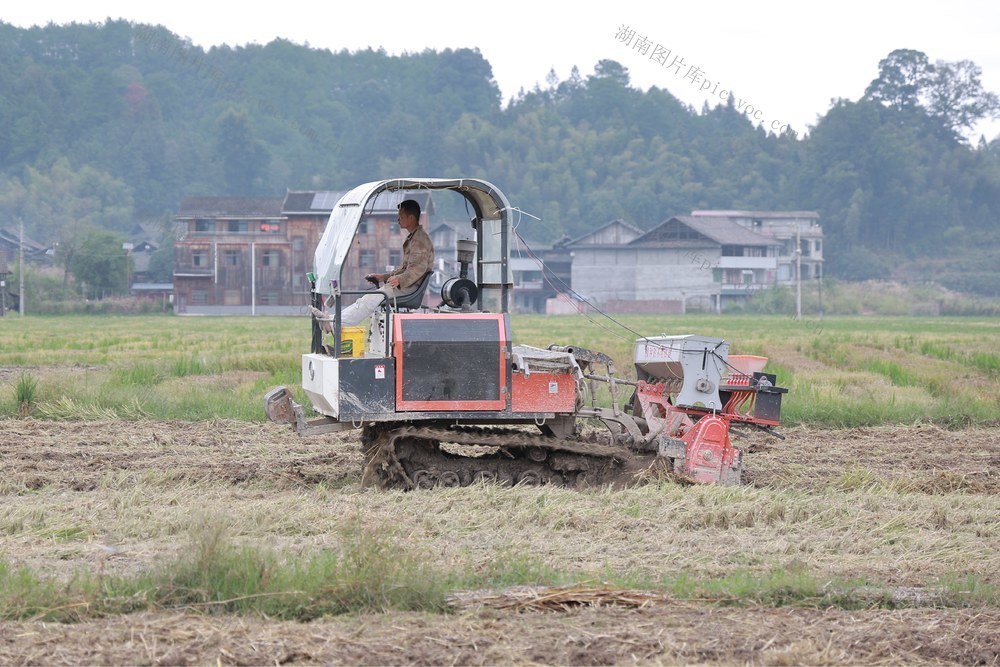 种植、油菜、农业、农机、农忙