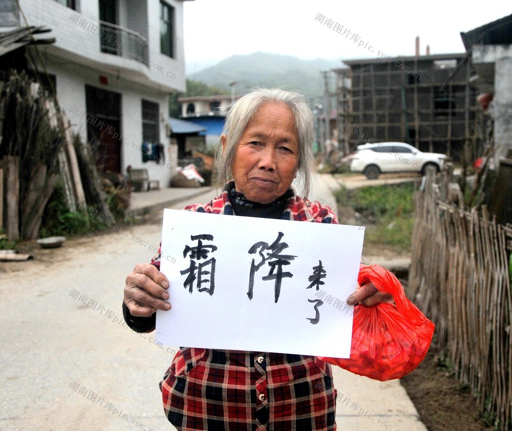 霜降 妇女  防冻