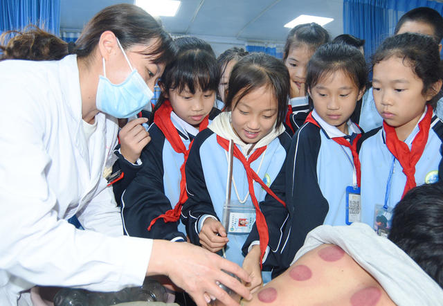 嘉禾：感受中医药文化