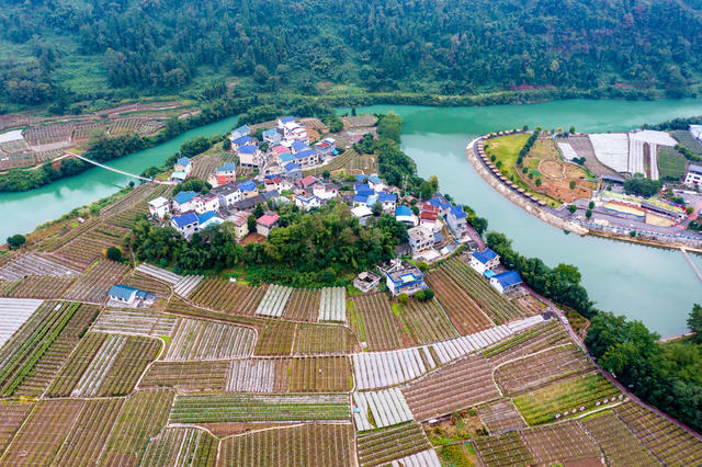 田园  吉首  葡萄  产业 乡村 
