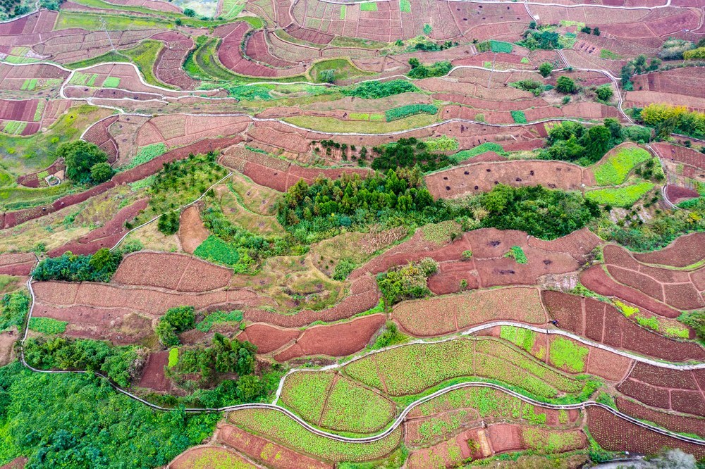 乡村  泸溪  田园  