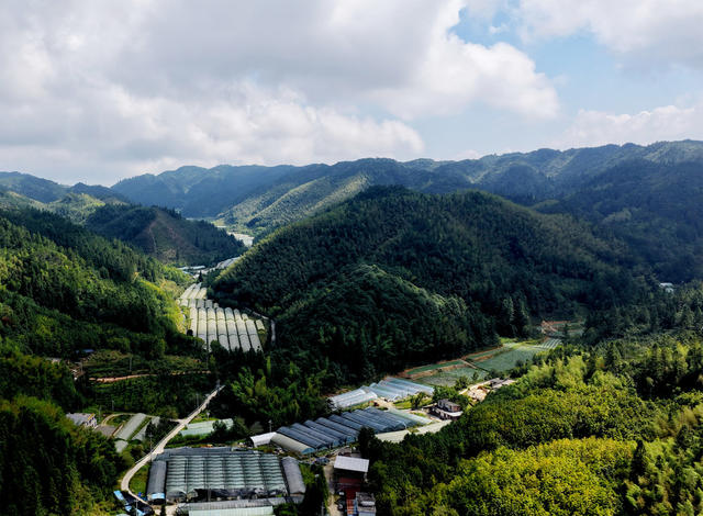 湖南桂东 蔬菜 冬装 村民 泥湖自然村