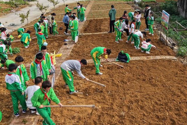 土家族  湘西  苗族  劳动   劳动基地  挖地  起垄  种菜  扶苗  施肥 
习惯 快乐 体验  知识 共享  菜园
