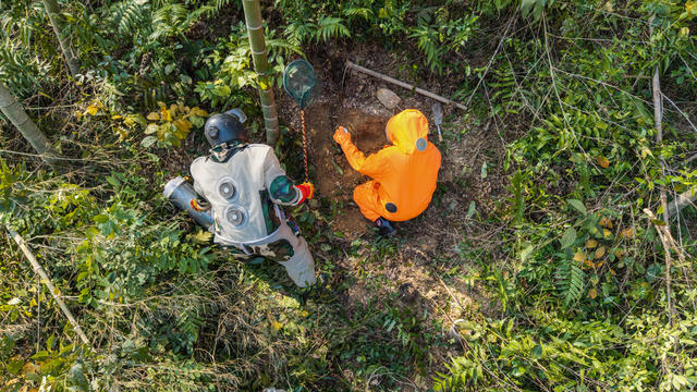 楠竹出山   捅马蜂窝