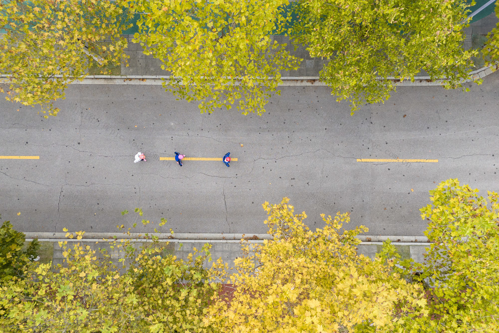 娄底 公园 金秋  秋日 风景 赏景