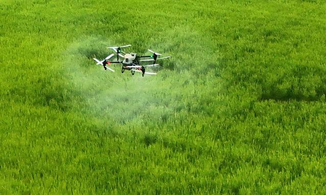 飞防作业助丰收