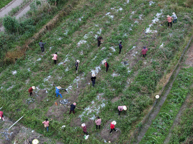 湖南桂东 冬闲 田 村民
