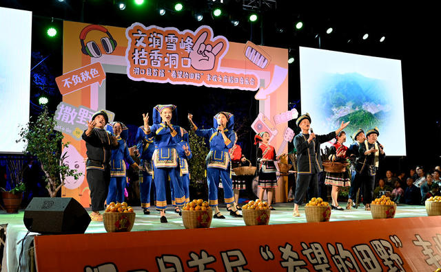 演出 文艺 文化 农村 庆丰收 风貌 唱歌 跳舞 农民 讴歌 欢歌载舞 喜悦 群众文化