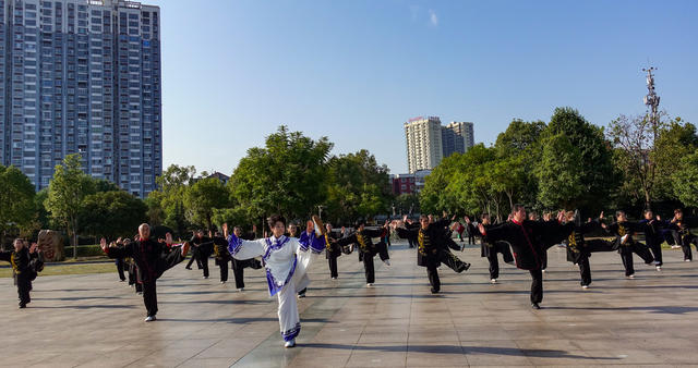 打太极  迎重阳