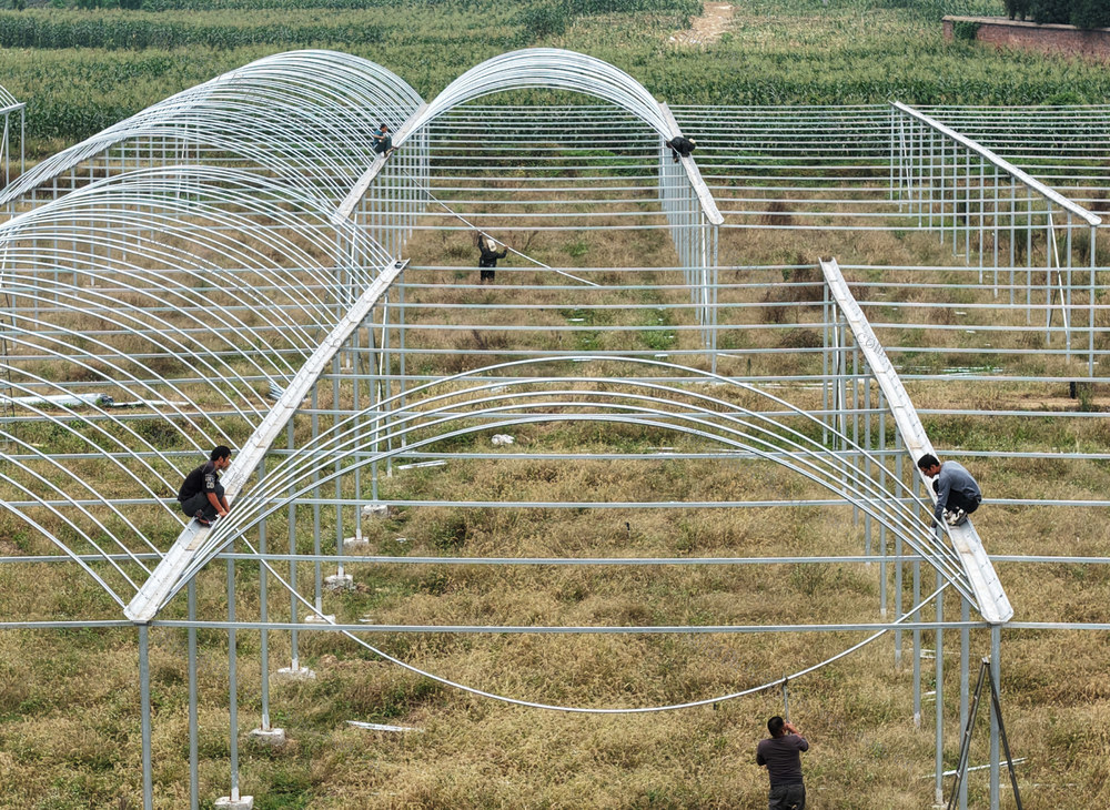 嘉禾：蔬菜大棚建设忙