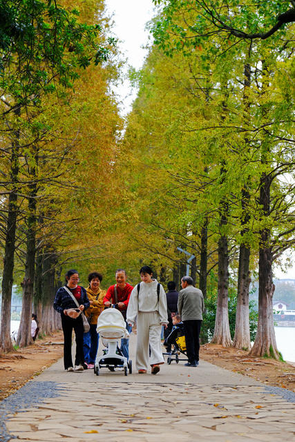 烈士公园秋意浓