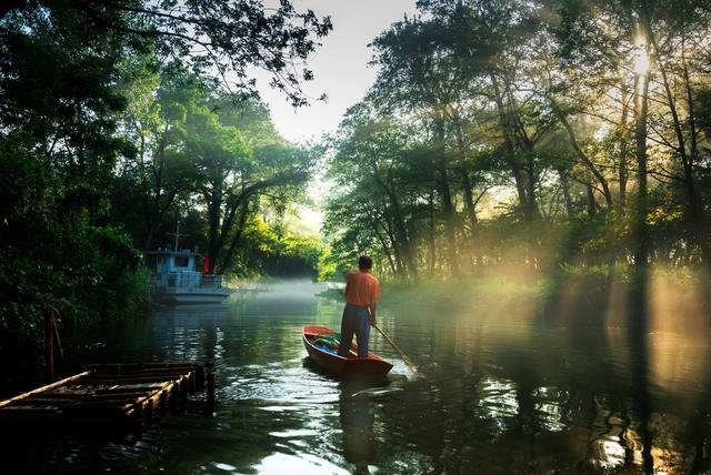 风光  密林  丁达尔  小溪