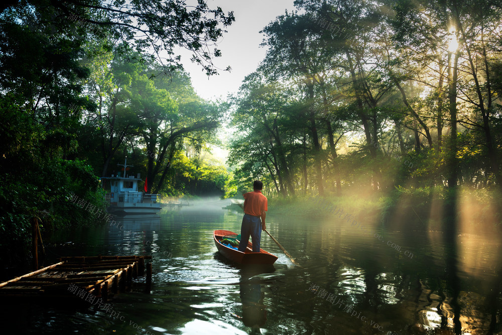 风光  密林  丁达尔  小溪