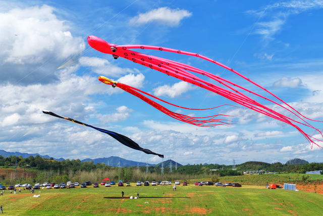 蓝山：精彩纷呈风筝节