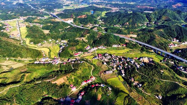 田园风光  乡村振兴  高速公路  稻田  秋景