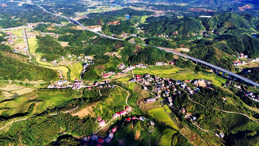 田园风光  乡村振兴  高速公路  稻田  秋景