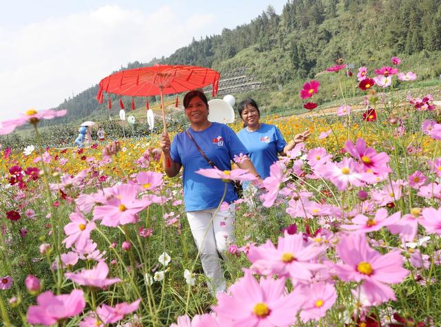   畅游花海     乐享假期
