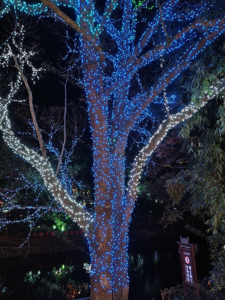 火 树 银 花