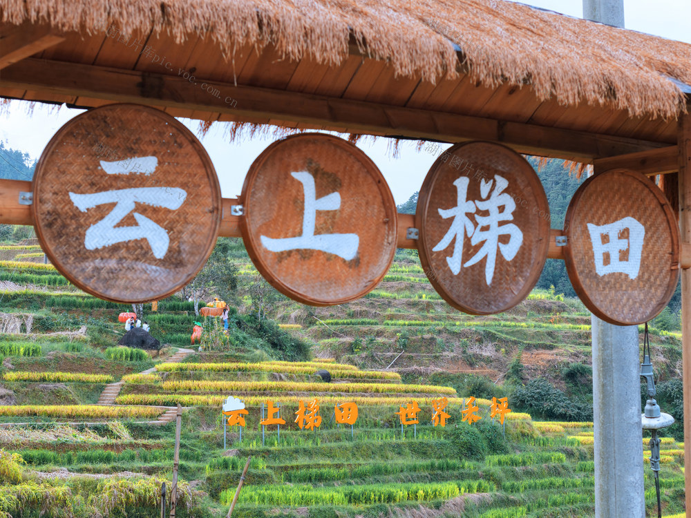 湖南桂东 禾坪梯田
