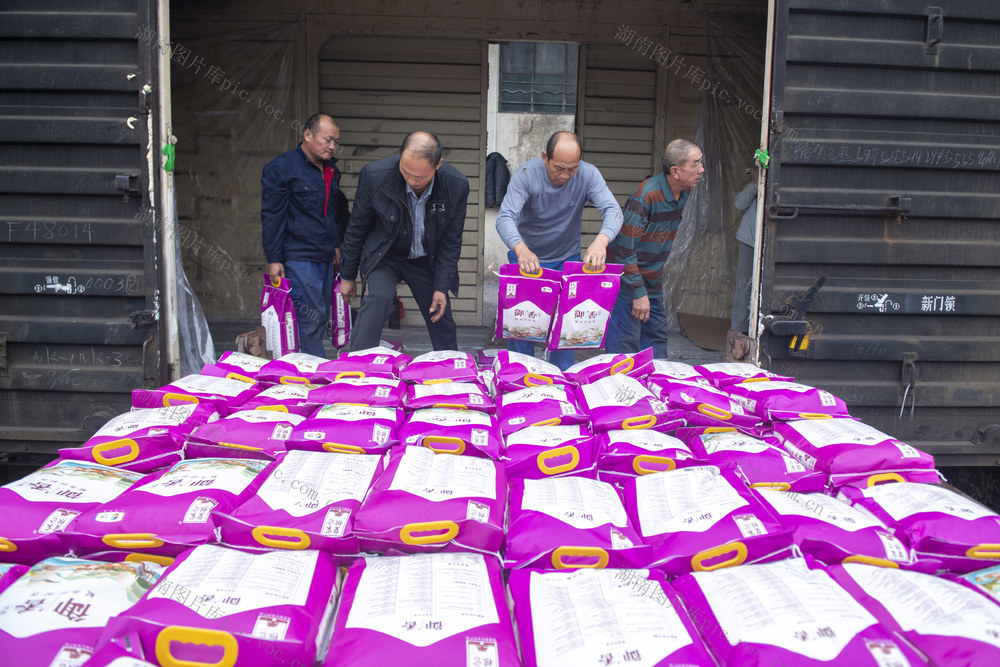 娄底 物流 快速便捷 物流网络 区域经济 货场 现代物流