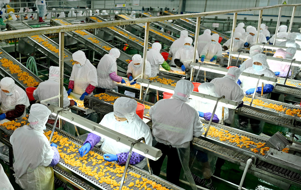 农产品，深加工，市场，企业，食品、水果、柑橘，罐头，生产，资源，增效，农业，农产品加工
