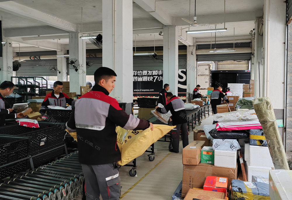 湖南桂东：双十一 物流 旺 桂东顺丰 分拣 快递