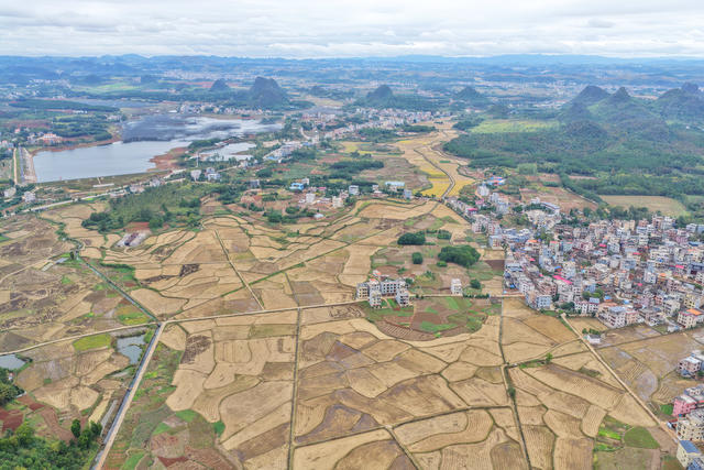 嘉禾：大地“指纹”美如画