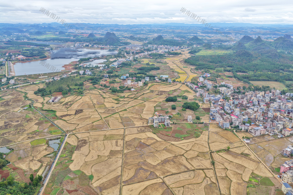 嘉禾：大地“指纹”美如画