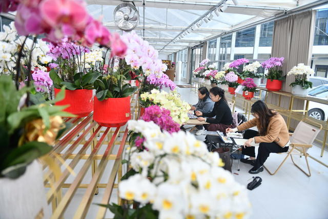 娄底 观赏  闲置 资源 特色农业 智能化 种植 农旅融合